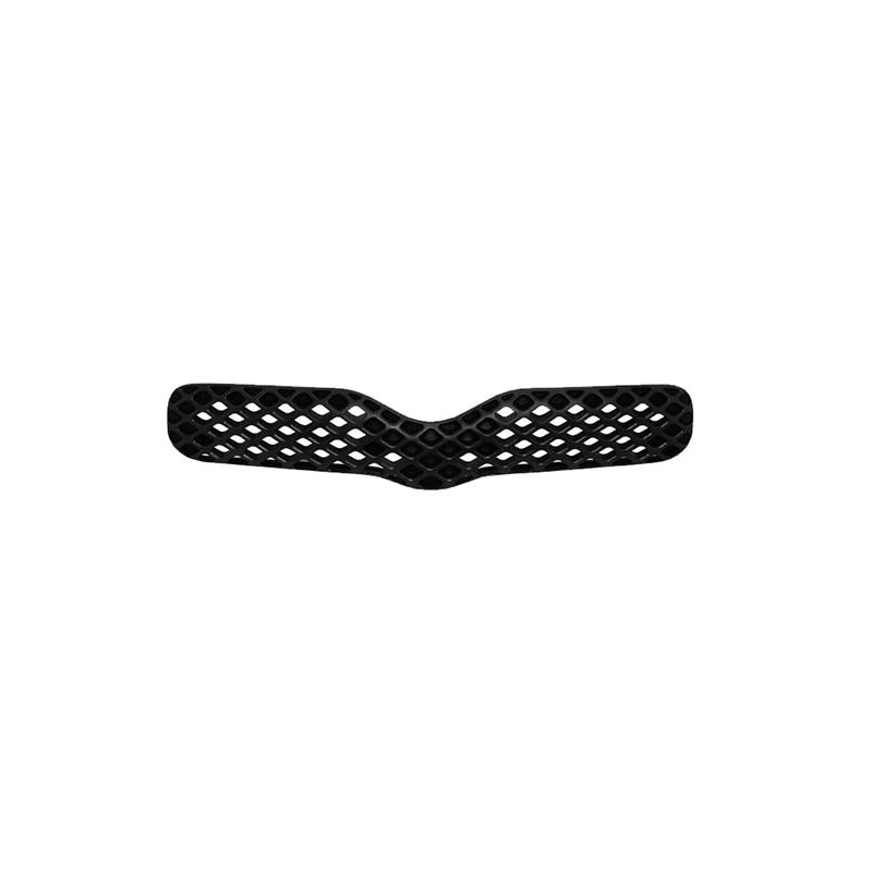 GRILLE AVANT NOIRE