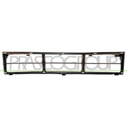 GRILLE DE PARE-CHOCS CENTRAL