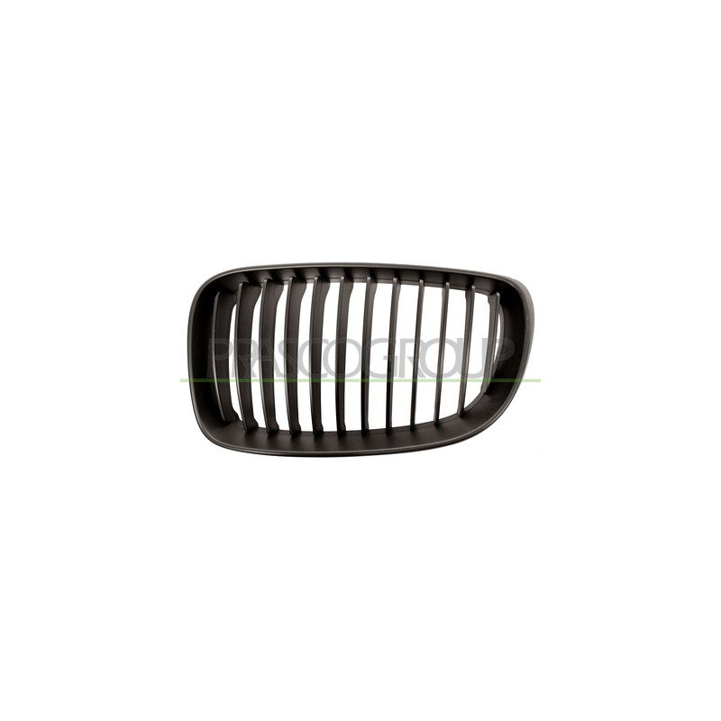GRILLE NOIRE GAUCHE
