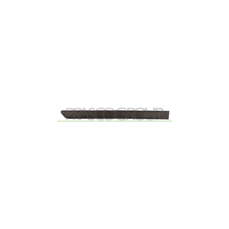 MOULURE DE PORTE ARRIERE DROITE - NOIRE