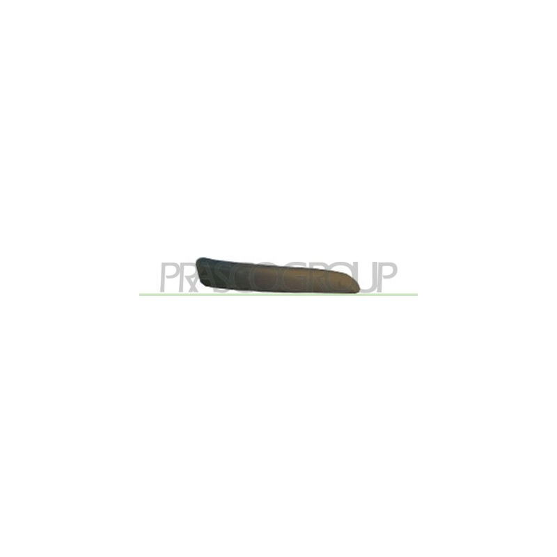 PARE-CHOC AVANT APPRET MOULURE GAUCHE