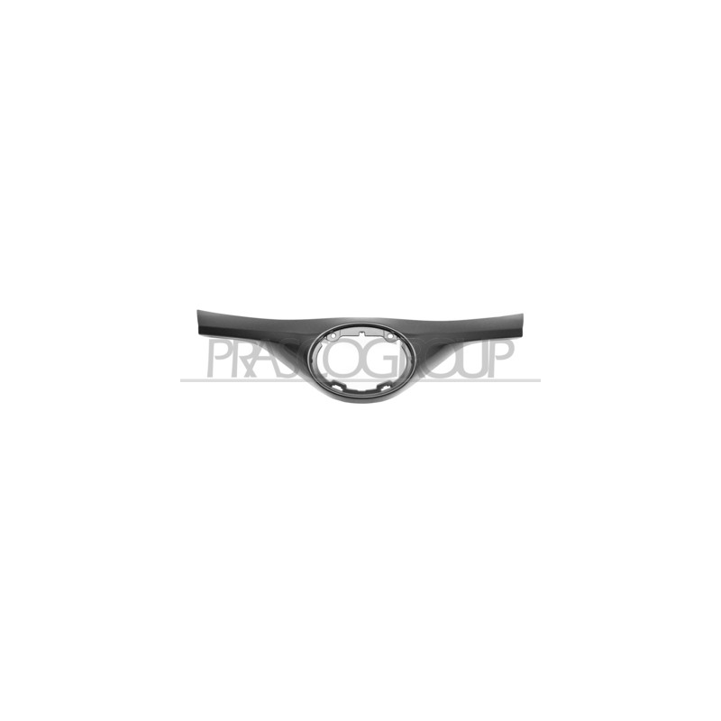 CADRE DE GRILLE DE RADIATEUR ABS